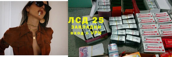 стафф Алексин