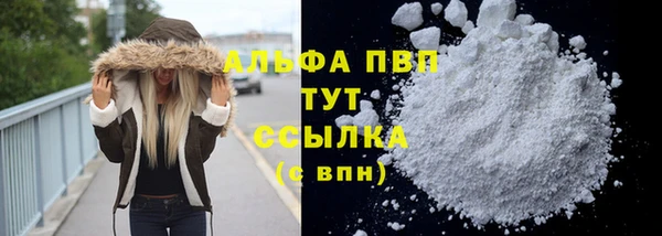 стафф Алексин
