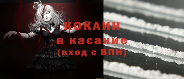 стафф Алексин