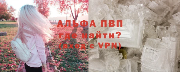 стафф Алексин