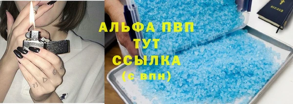 стафф Алексин