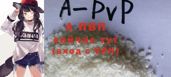 стафф Алексин