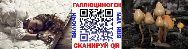 Псилоцибиновые грибы мицелий  Ковылкино 